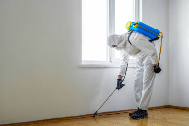 Best Rat Extermination Near Me  in Hartland, WI