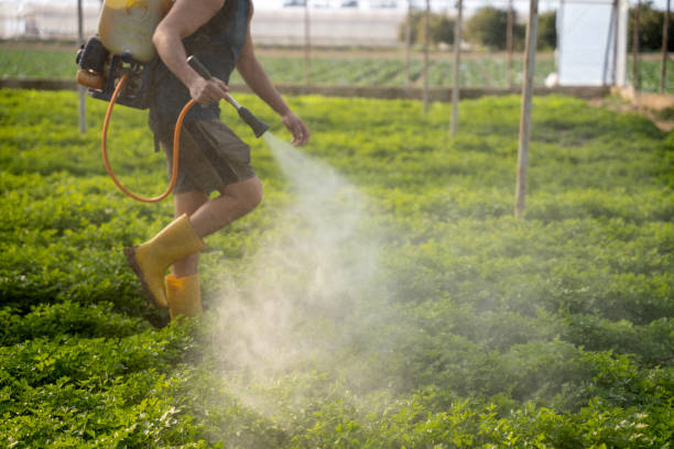 Best Pest Control Treatment  in Hartland, WI
