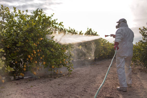 Best Best Pest Control Companies  in Hartland, WI