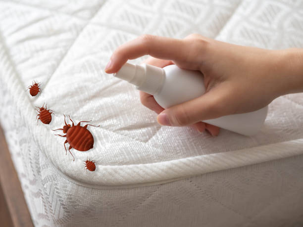 Professional Pest Control in Hartland, WI