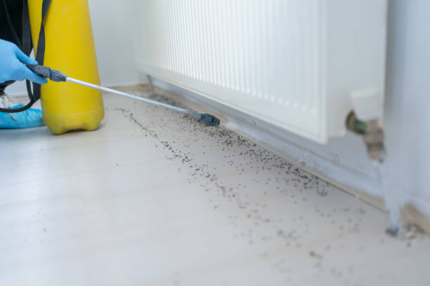 Best Pest Prevention Services  in Hartland, WI