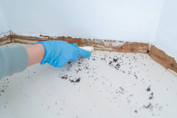 Pest Prevention Services in Hartland, WI
