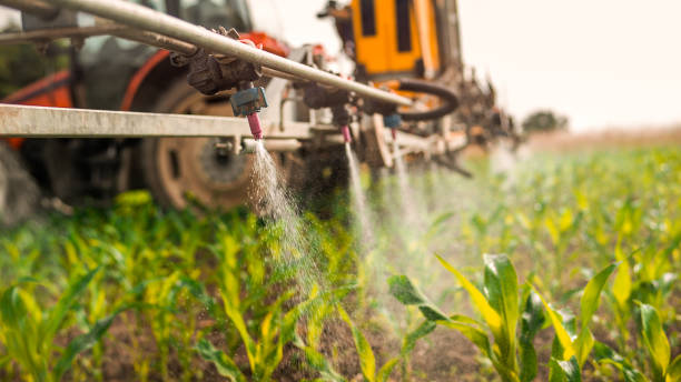 Wasp Removal Services in Hartland, WI